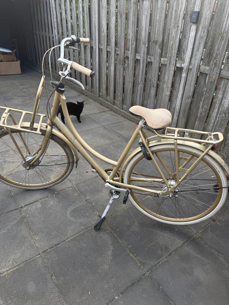 Batavus Diva Damesfiets - Goudkleurig, Fietsen en Brommers, Fietsen | Dames | Damesfietsen, Terugtraprem, Ophalen, Overige merken