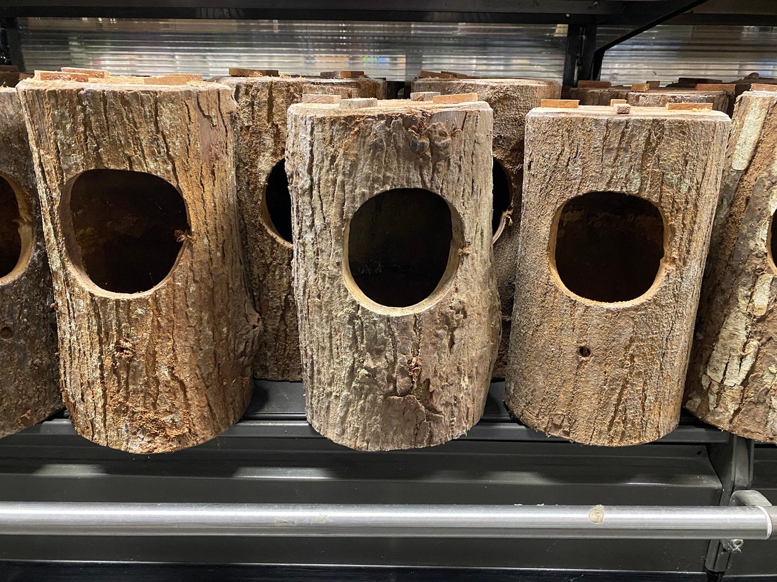 Broedblok schamalijsters, Ophalen of Verzenden, Nieuw, Hout, Broedkooi of Kweekkooi