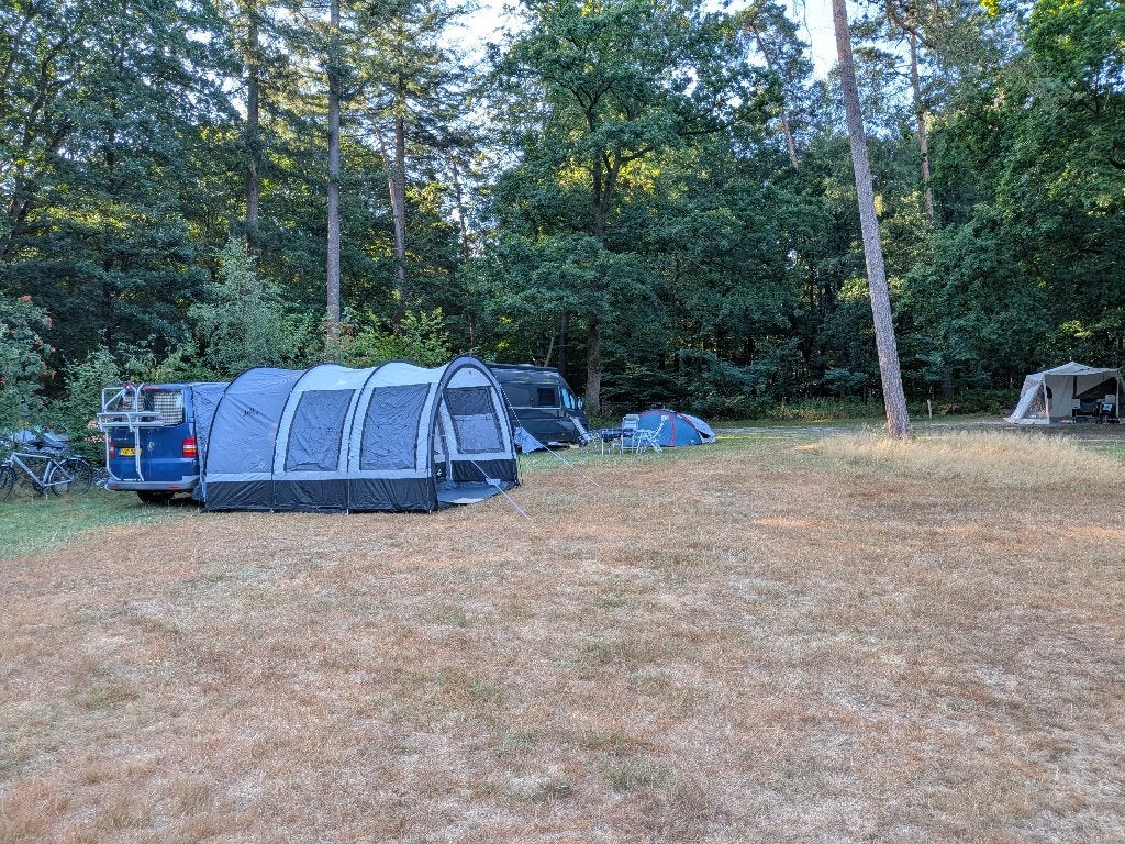 Ruime bustent nieuw Obelink Paradise VK, Ophalen of Verzenden, Nieuw