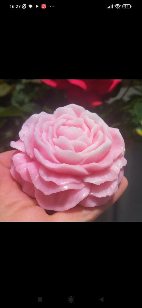 zeep peony, Ophalen of Verzenden, Nieuw, Overige typen