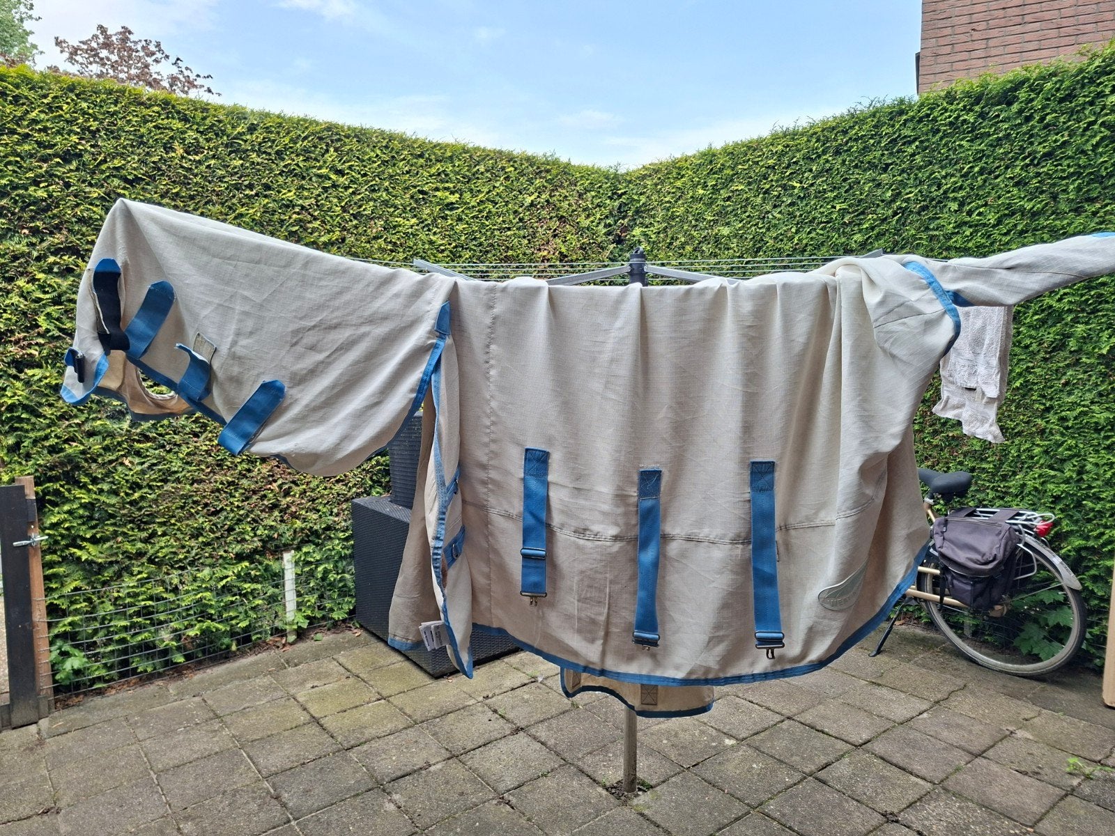 Weatherbeeta eczeemdeken maat 6'0 185, Overige merken, 0 g, Ophalen of Verzenden, Overige maten