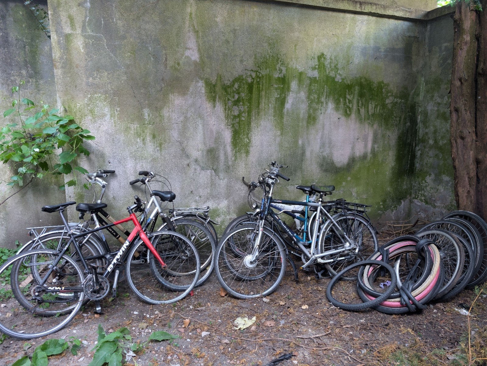 Partij fietsen voor onderdelen of reparatie, Ophalen of Verzenden