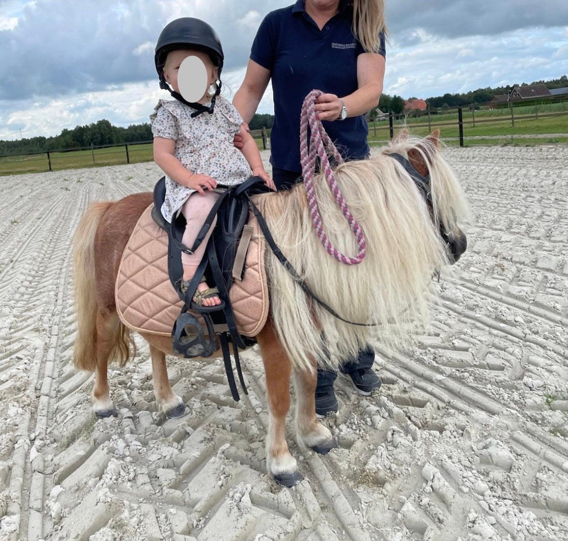 Super lieve kinderpony shetlander, Merrie, A pony (tot 1.17m)
