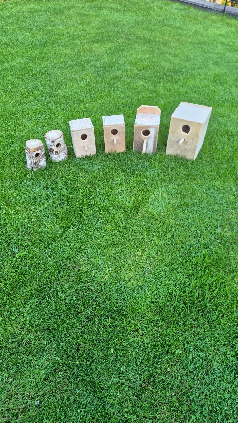 te koop parkieten nestblokken, Dieren en Toebehoren