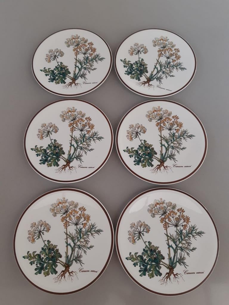 6 gebaksbordjes Villeroy en Boch Botanica schaars, Ophalen of Verzenden, Zo goed als nieuw, Bord(en), Overige stijlen