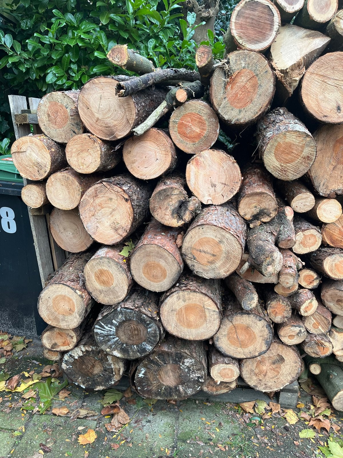 Grote boomstammen voor haardhout, Minder dan 3 m³, Ophalen of Verzenden, Overige houtsoorten, Stammen