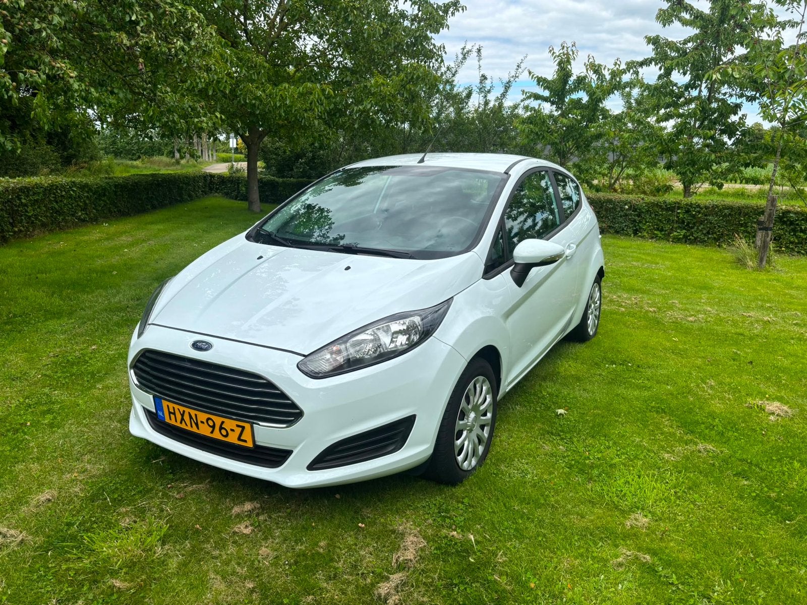 Ford Fiësta 1.25 44KW 3DR 2014 Wit, Auto's, Ford, 1242 cc, 4 cilinders, Wit, Handgeschakeld