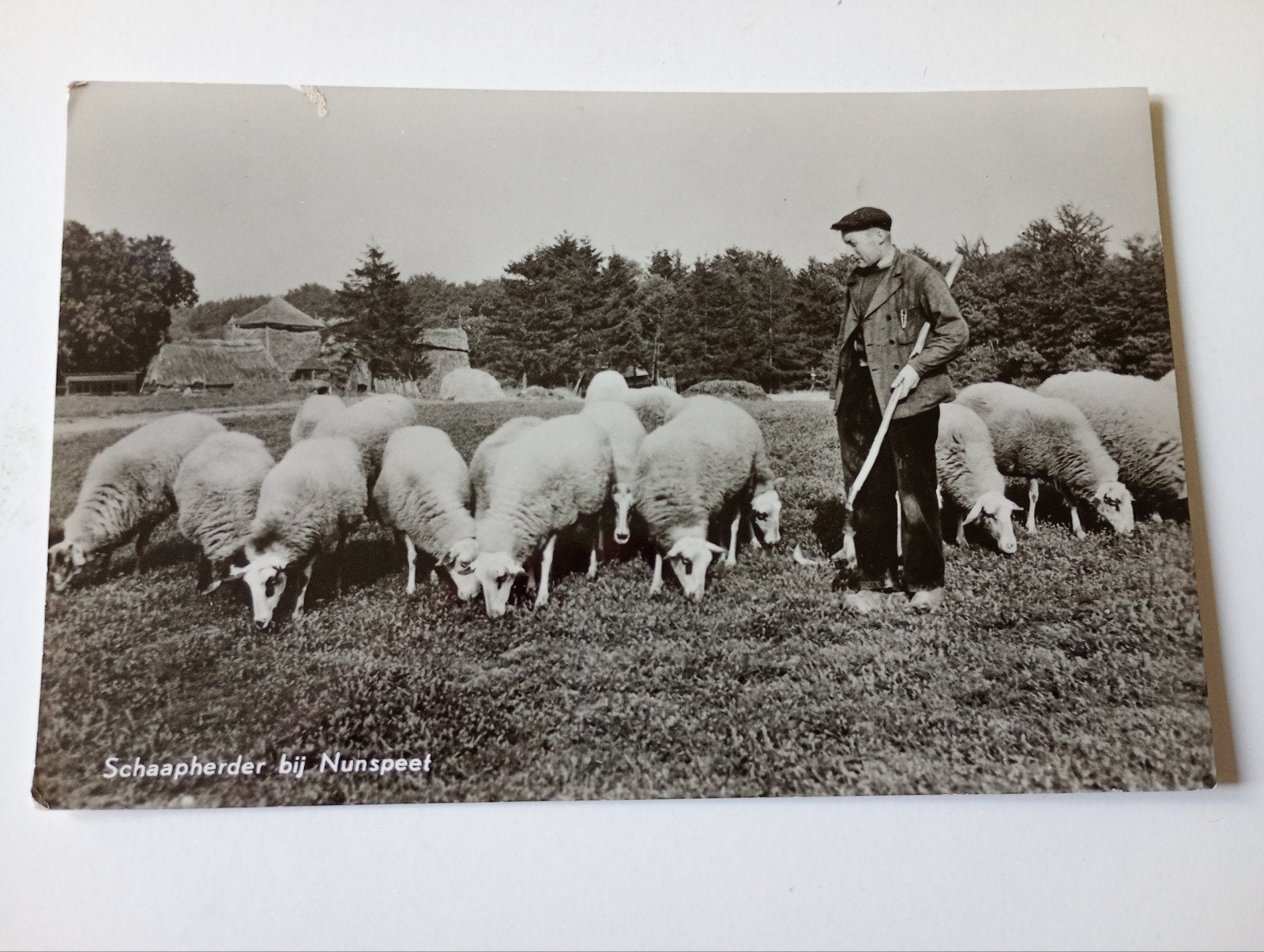 Nunspeet Schaapsherder 1965, Ophalen of Verzenden, 1960 tot 1980, Gelopen, Gelderland