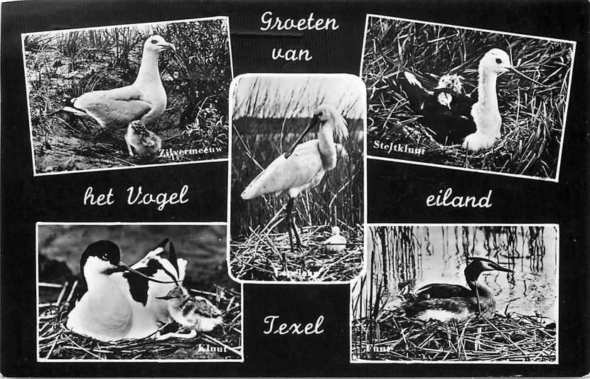 377-617-025 Texel, Verzenden, Voor 1920, Noord-Holland