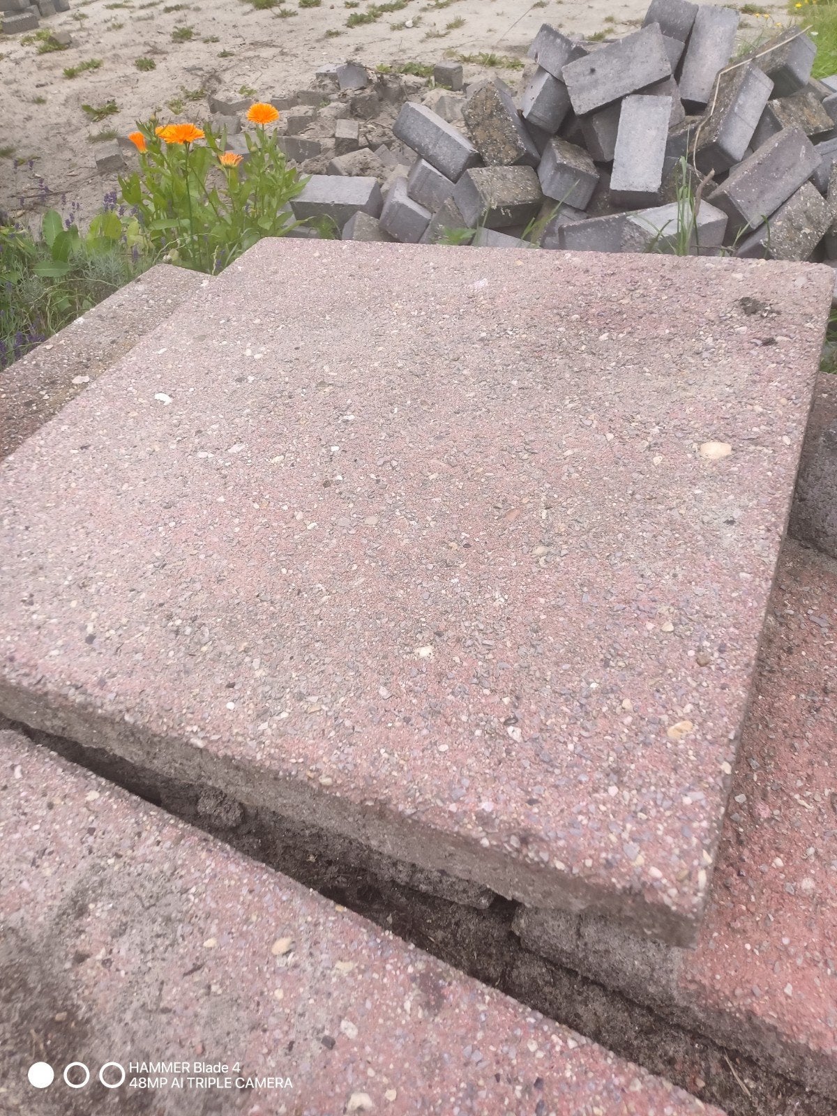 Gratis afhalen: Rode 50x50 betontegels / grinttegels, Tuin en Terras, Tegels en Klinkers, Ophalen, Gebruikt, 10 m² of meer, Beton