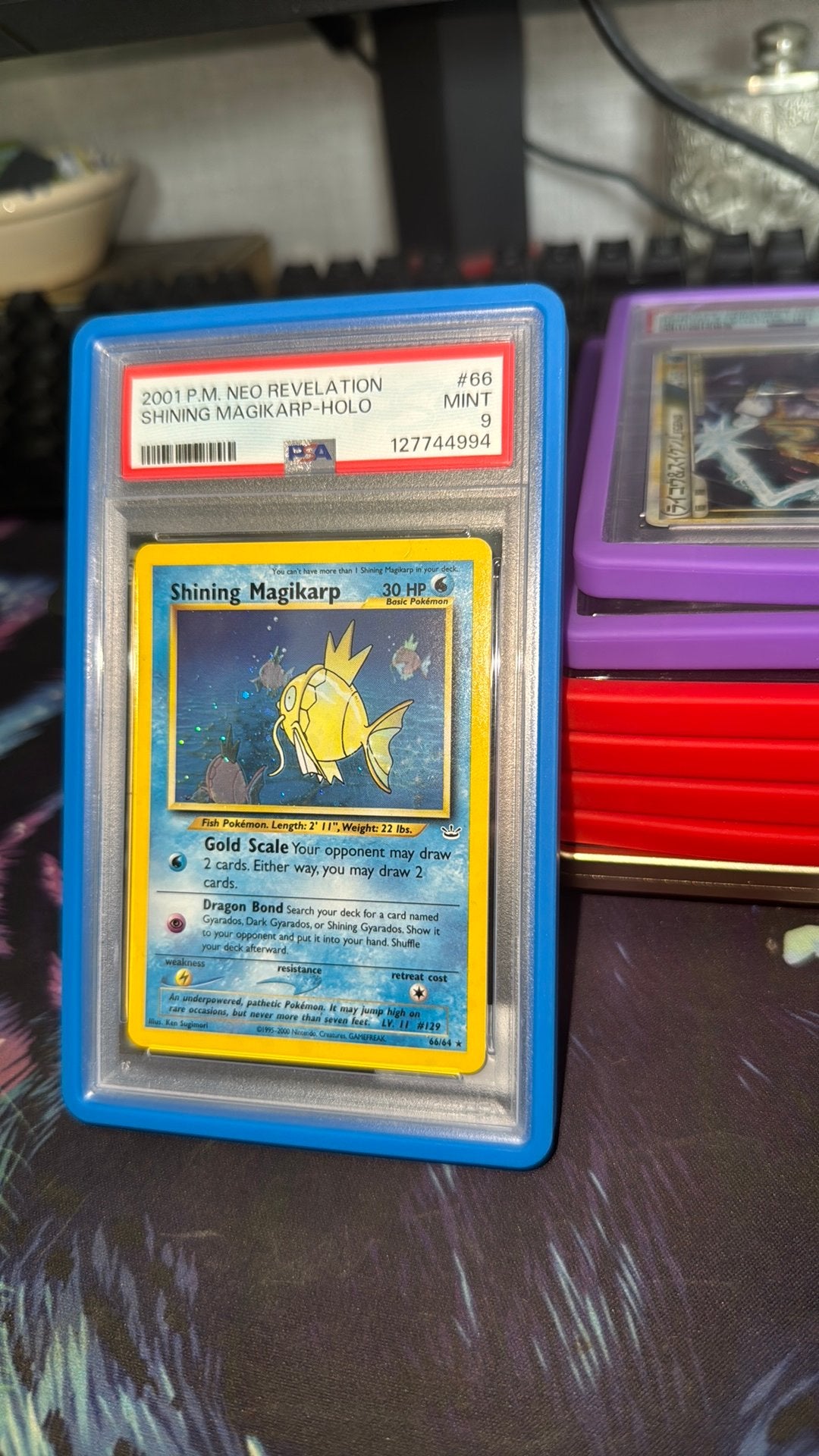 Shinning magikarp psa 9 holo, Hobby en Vrije tijd, Verzamelkaartspellen | Pokémon, Ophalen of Verzenden, Zo goed als nieuw