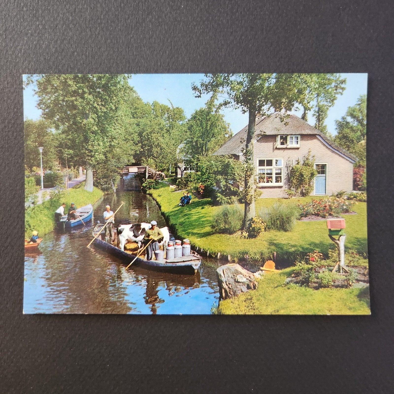 Ansichtkaart Giethoorn: Veevervoer per punter, Verzenden, 1960 tot 1980, Gelopen, Overijssel