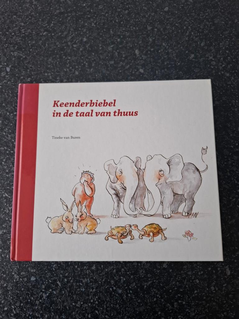 Overijssel kinderbijbel, Ophalen of Verzenden, Gelezen