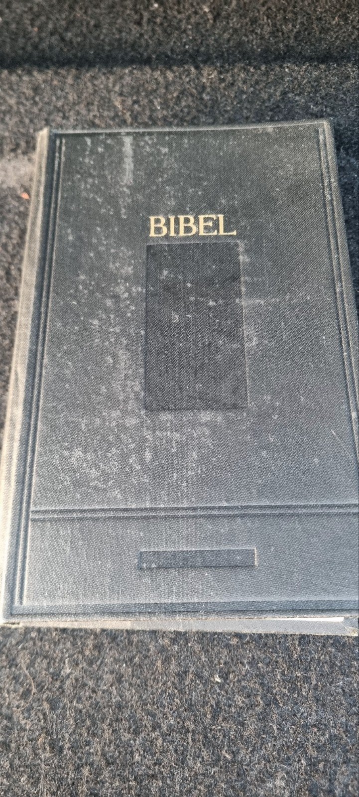 Bibel - Alde en Nije Testamint - Fryske Taale, Ophalen of Verzenden, Nederlandsch Bijbelgenootschap