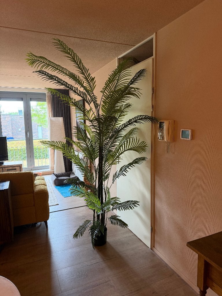 kunstof plant, Ophalen, Groen, Kunstplant, Zo goed als nieuw