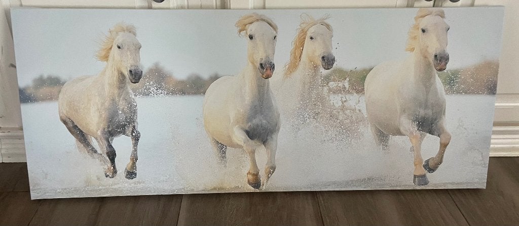 Canvas paarden, Ophalen, 50 – 75, Zo goed als nieuw, Schilderij