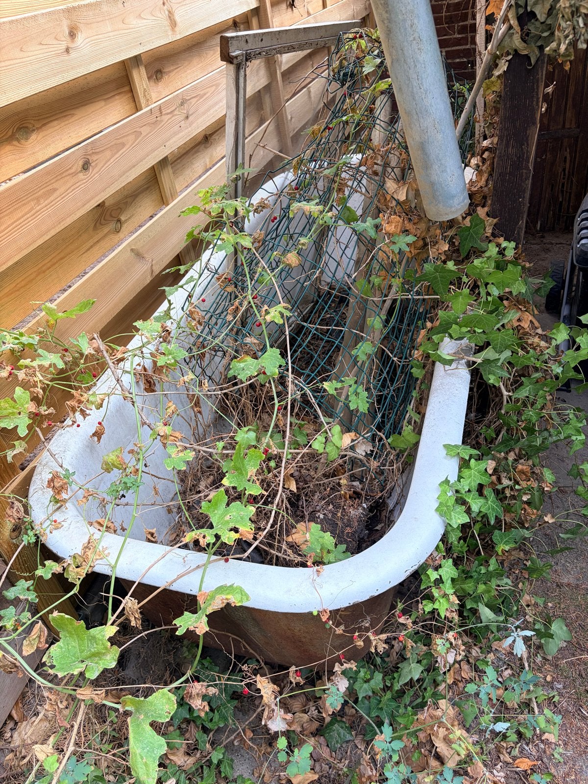 Gratis badkuip - ideaal voor tuin of project, Huis en Inrichting, Badkamer | Complete badkamers, Ophalen, Gebruikt, Met bad