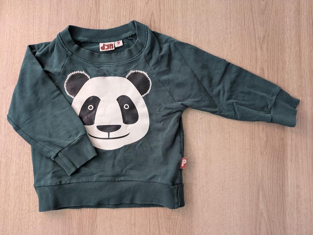 Groene trui met panda van Dyr, maat 92/98, Ophalen of Verzenden