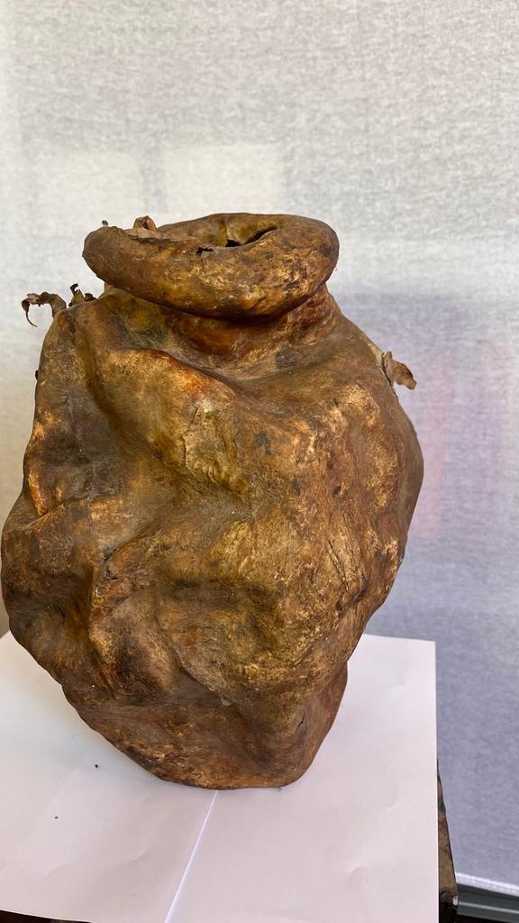 Decoratief stuk van gedroogde blaas uit Mozambique, Antiek en Kunst, Ophalen