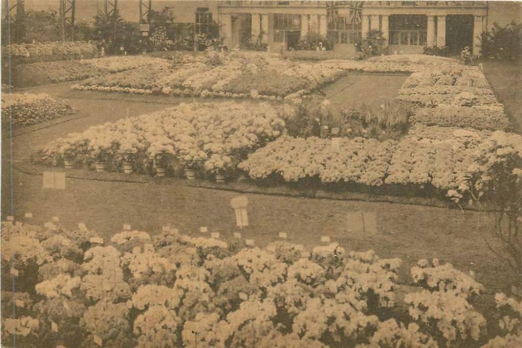 381-240-031 Floralies Gantoises, Verzenden, Voor 1920, Overig Europa