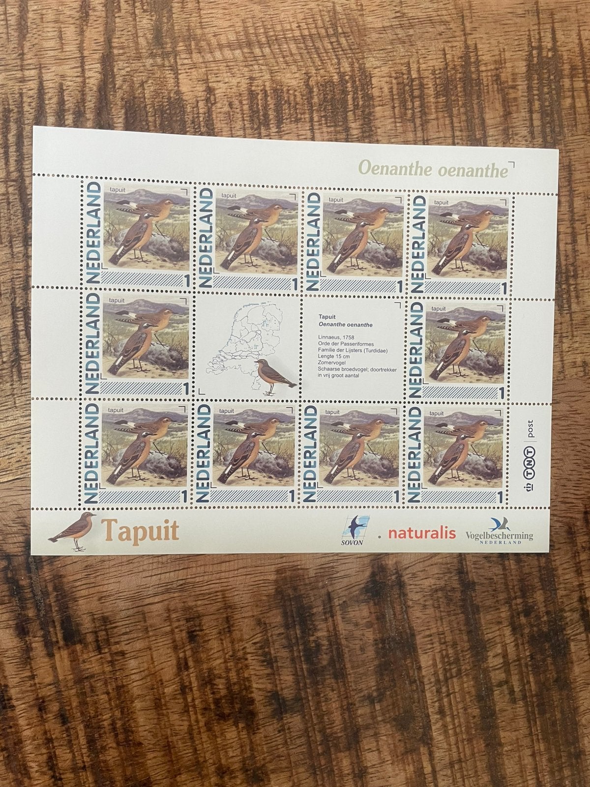 Vel Persoonlijke Postzegels Vogels in Ned Tapuit.Postfris., Ophalen of Verzenden, Na 1940, Postfris