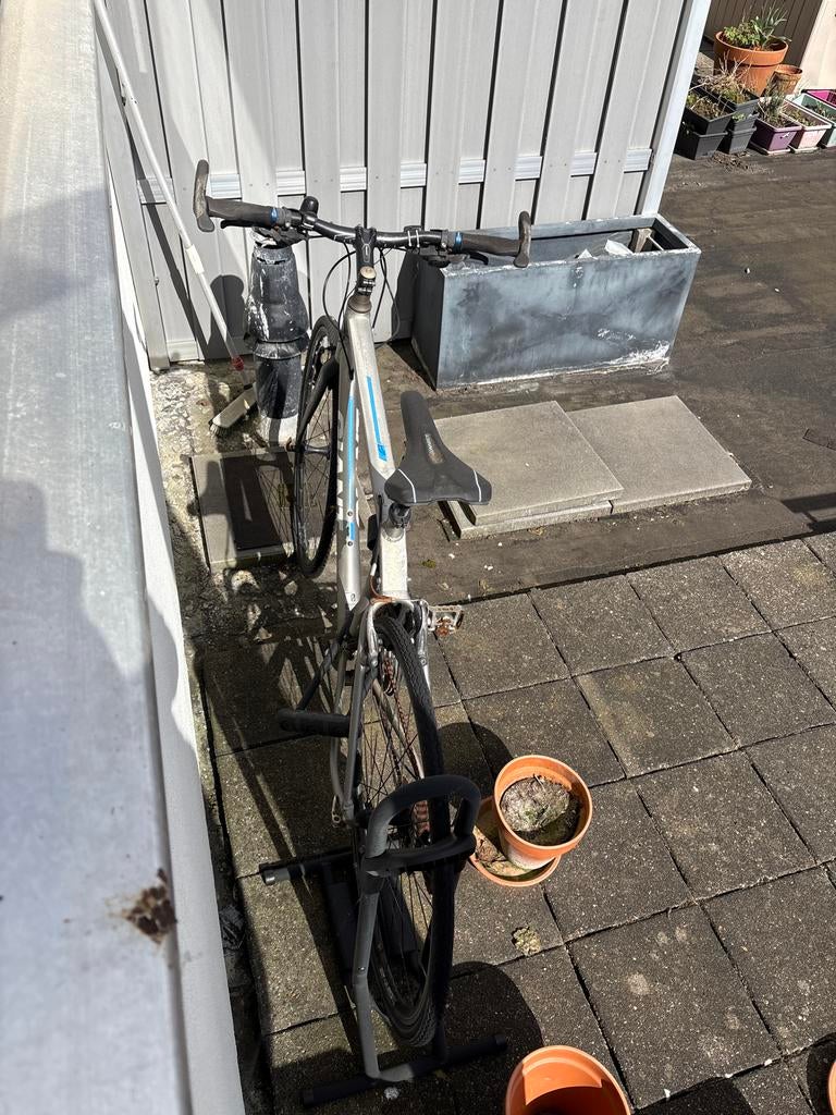 Giant Road Bike, Ophalen, Gebruikt, Velgrem, Versnellingen