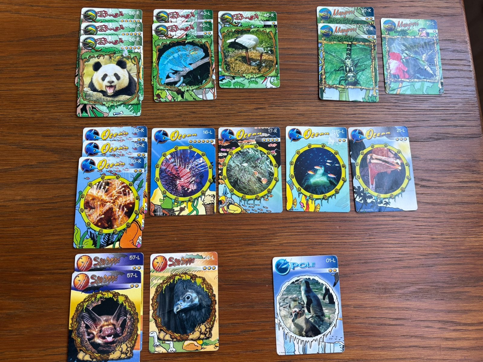 Jetix 3D Jungle cards, Ophalen of Verzenden, Gebruikt