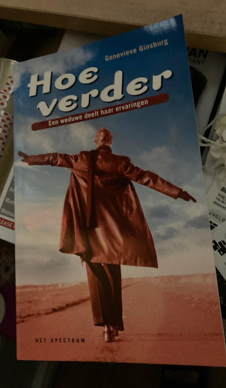 Boek: Hoe verder - Genevieve Ginsburg, Ophalen of Verzenden, Gelezen, Nederland