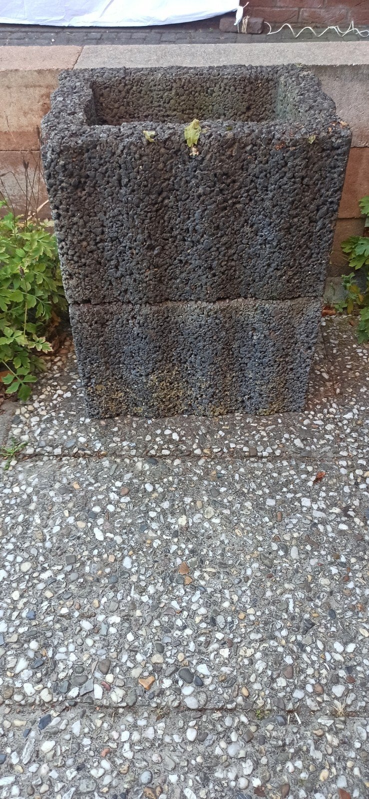Betonnen plantenbak / bloembak,4 te koop, Ophalen, Gebruikt, Minder dan 60 cm, Vierkant