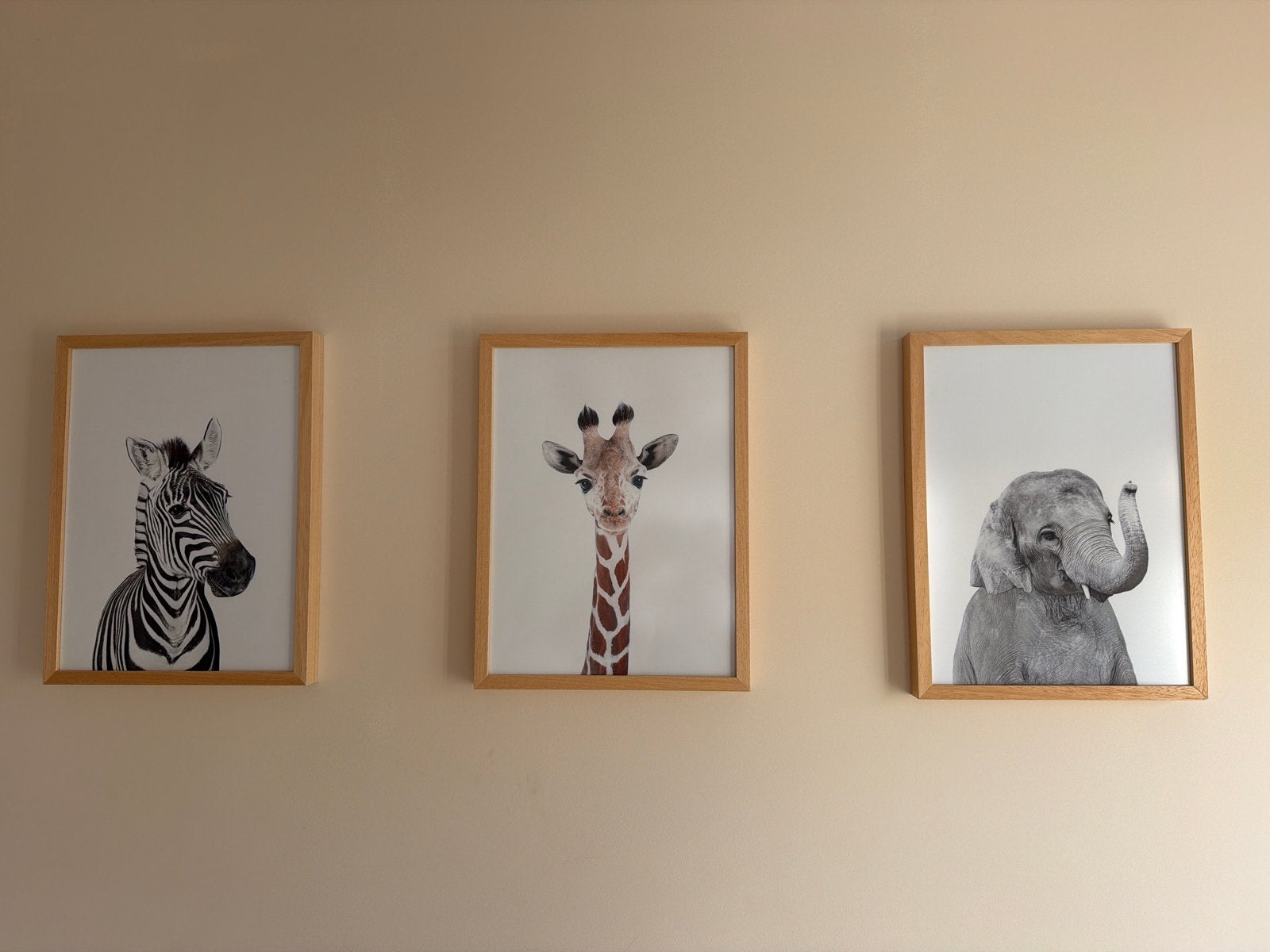 3x Schilderij voor kinderkamer - Zebra, Giraffe, Olifant, Minder dan 50 cm, Ophalen of Verzenden, Zo goed als nieuw, Schilderij
