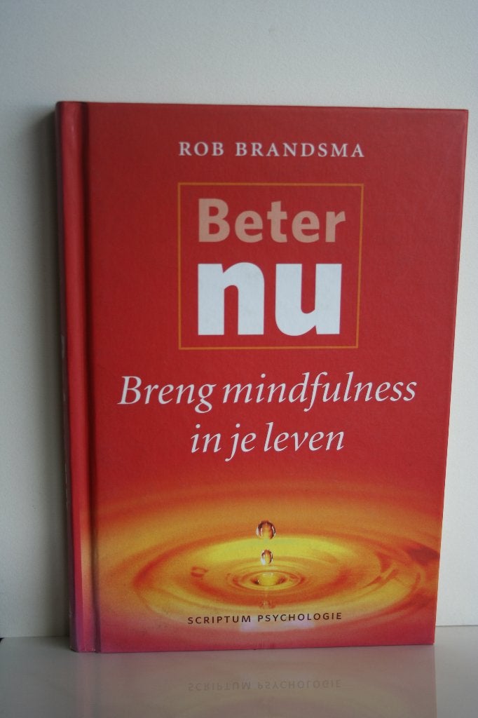 Rob Brandsma - Beter nu, Rob Brandsma, Nieuw, Ophalen of Verzenden, Ontwikkelingspsychologie
