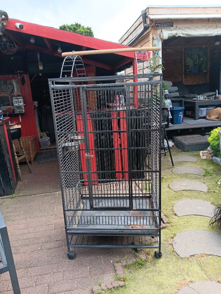 compleet papegaaien ara verblijf, Dieren en Toebehoren, Meerdere dieren, Papegaai