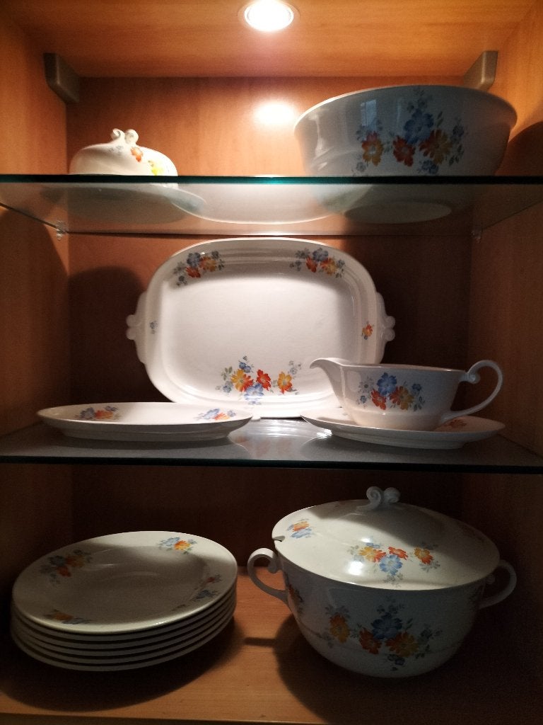 Petrus Regout Servies 100 jaar oud, Antiek en Kunst, Ophalen