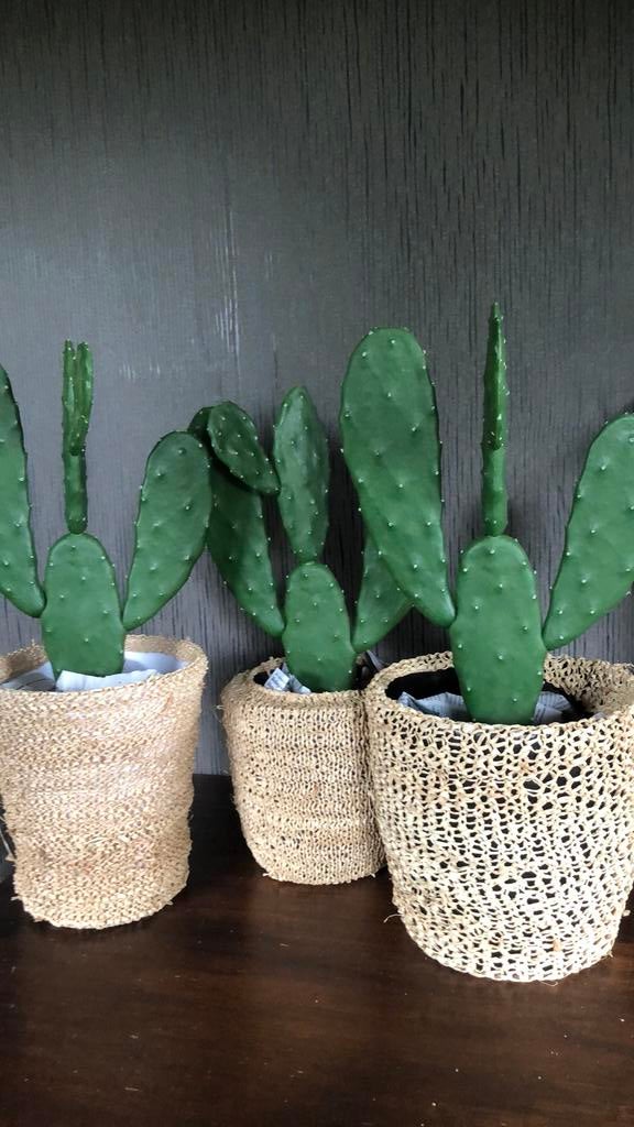 Cactus kunst, Groen, Kunstplant, Nieuw, Ophalen of Verzenden