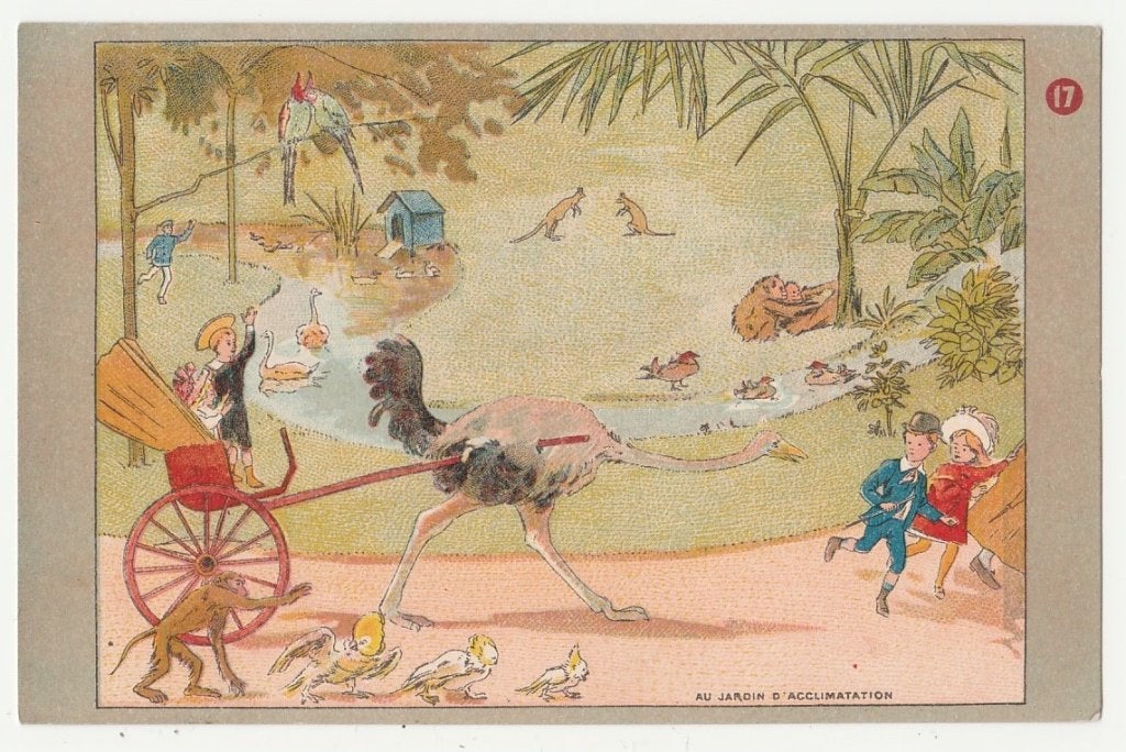 Struisvogel trekt kar.  Kinderen., Verzenden, Voor 1920, Ongelopen, Overige thema's