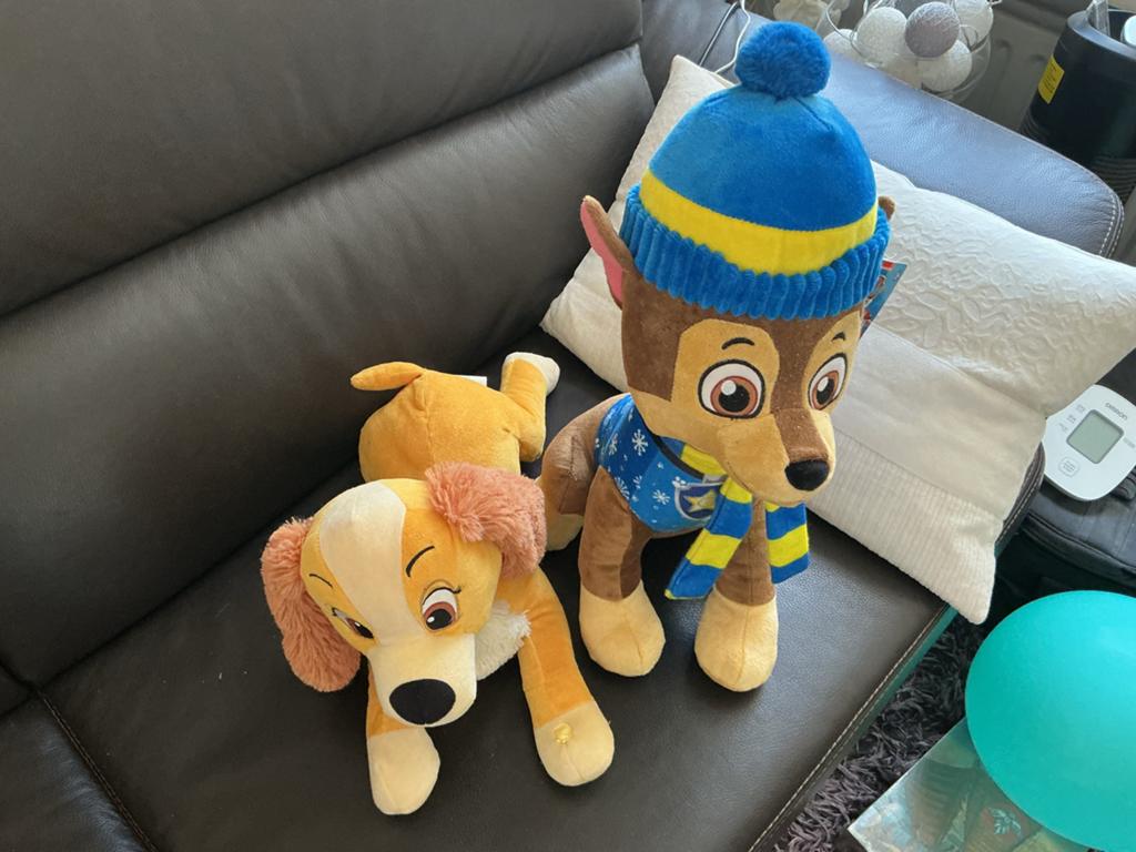 Paw Patrol Chase en Disney Lady knuffel, Disney, Middelgroot (20 tot 80 cm), Bruin, Paw Patrol