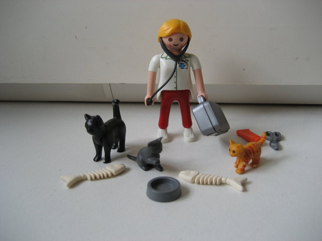 playmobil dierenarts met poezen, Ophalen of Verzenden, Zo goed als nieuw