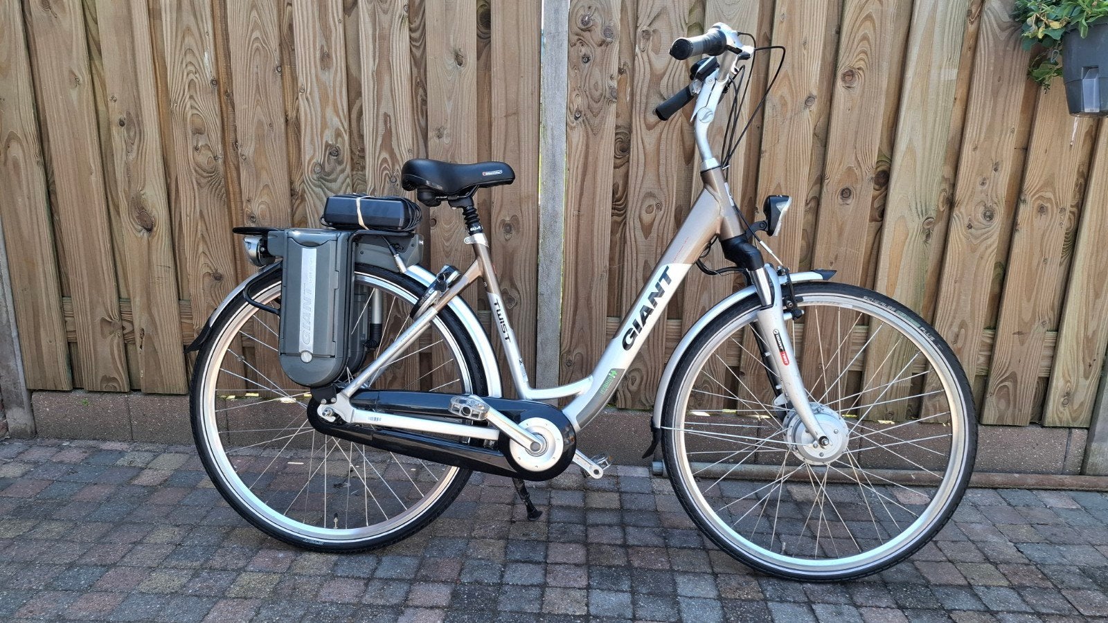 Giant Twist Double Elektrischefiets, Fietsen en Brommers, Ophalen, Versnellingen, Giant, Zo goed als nieuw