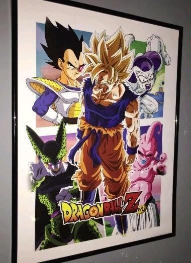 Dragonball z, Ophalen of Verzenden, Zo goed als nieuw, A1 t/m A3, Film en Tv