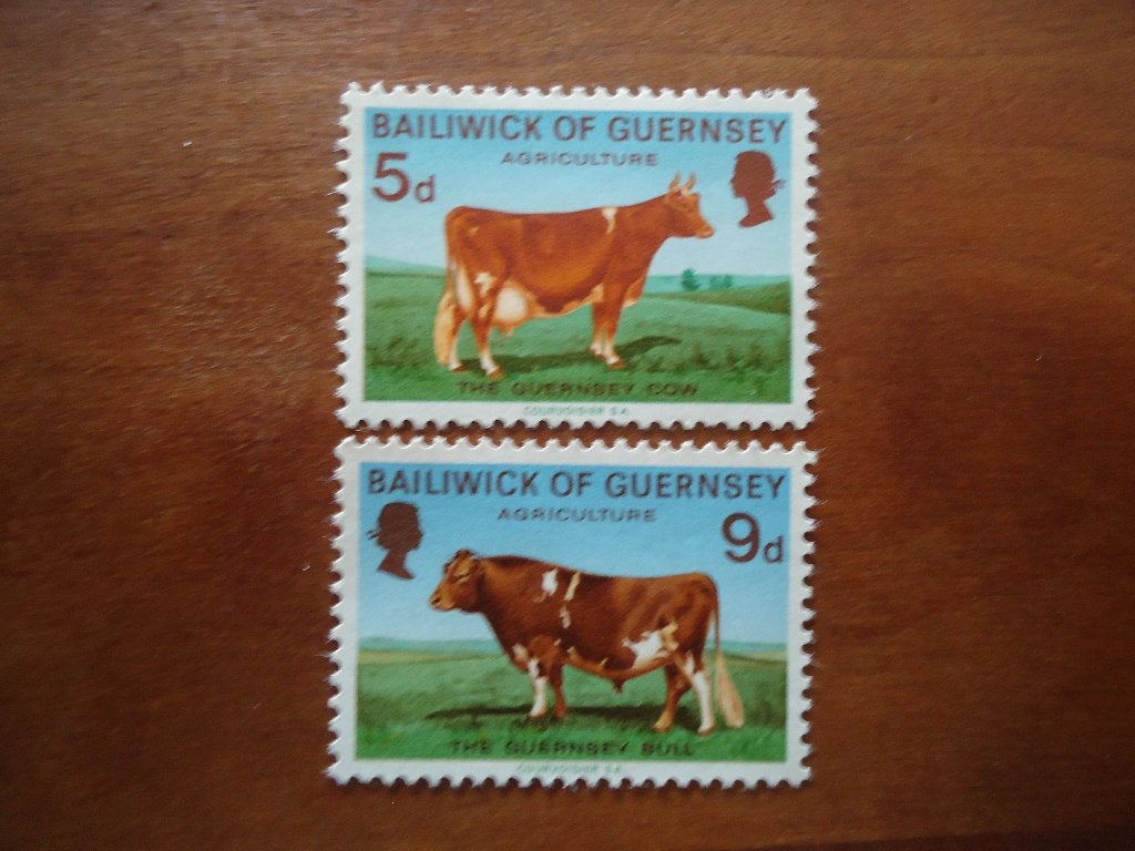 Dier koe stier Guernsey 1970, mi. 32-33 postfris, Ophalen of Verzenden, Postfris, Dier of Natuur