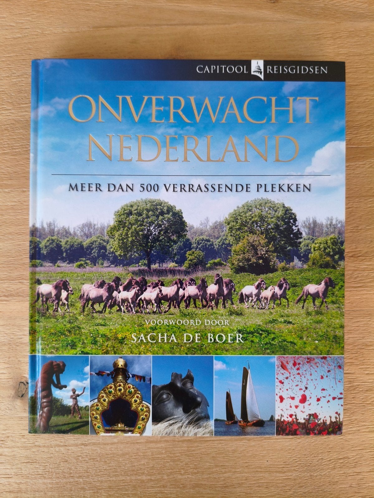 Onverwacht Nederland - Capitool reisgidsen NIEUW, Boeken, Reisgidsen, Capitool, Ophalen of Verzenden, Zo goed als nieuw, Reisgids of -boek