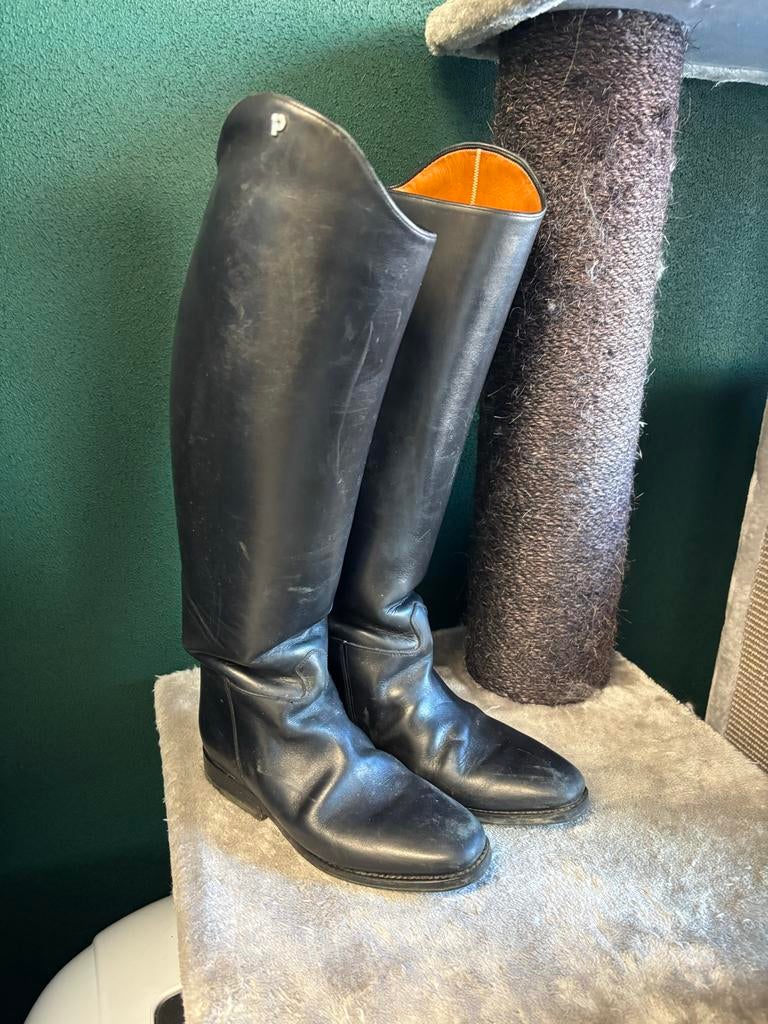 Petrie rijlaarzen maat 39, Dieren en Toebehoren, Paardrijkleding, Dressuur, Dames, Ophalen of Verzenden, Zo goed als nieuw