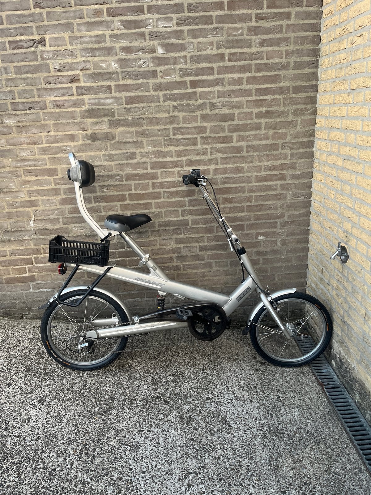 Giant Revive Ligfiets - Comfortabel en Lichtgewicht, Ophalen, Gebruikt, Velgrem, Giant