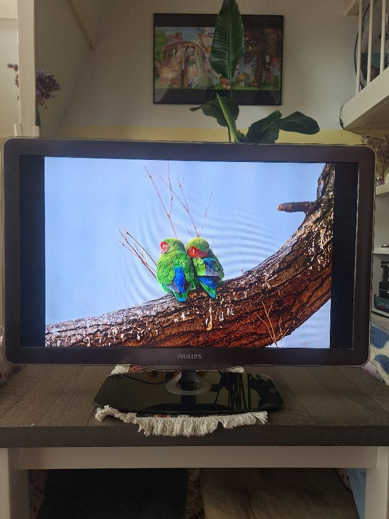 Philips Tv met ambilight, Ophalen, Philips, Gebruikt, 50 Hz