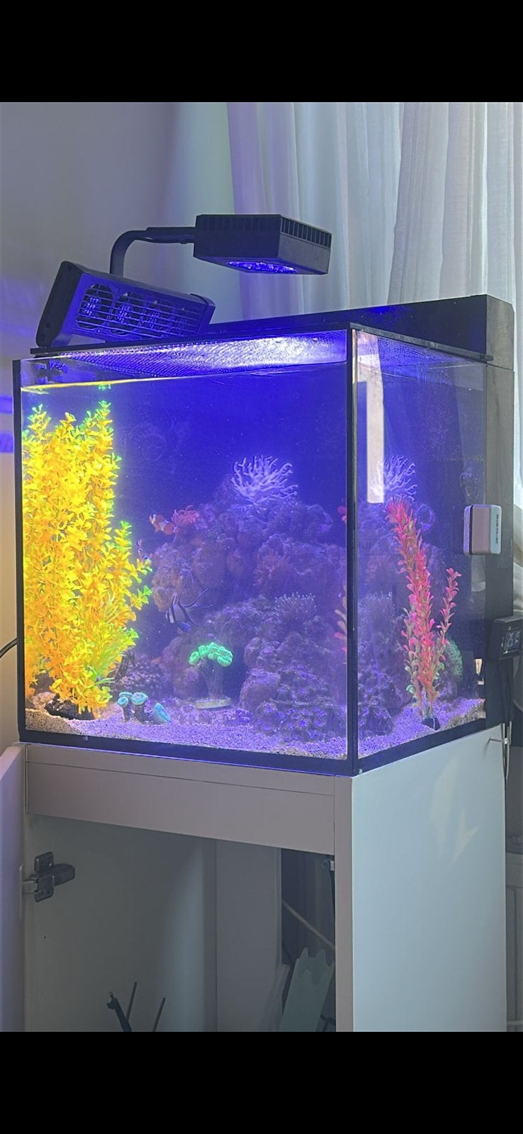 Red sea nano 75 liter zeeaquarium zoutwater, Dieren en Toebehoren, Vissen | Aquaria en Toebehoren, Ophalen of Verzenden, Inclusief deksel