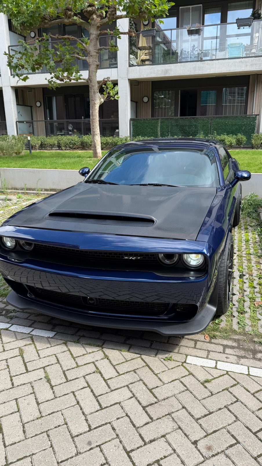 Dodge Challenger SXT 3.6 V6 Automaat, Auto's, Automaat, 309 pk, Achterwielaandrijving, Blauw