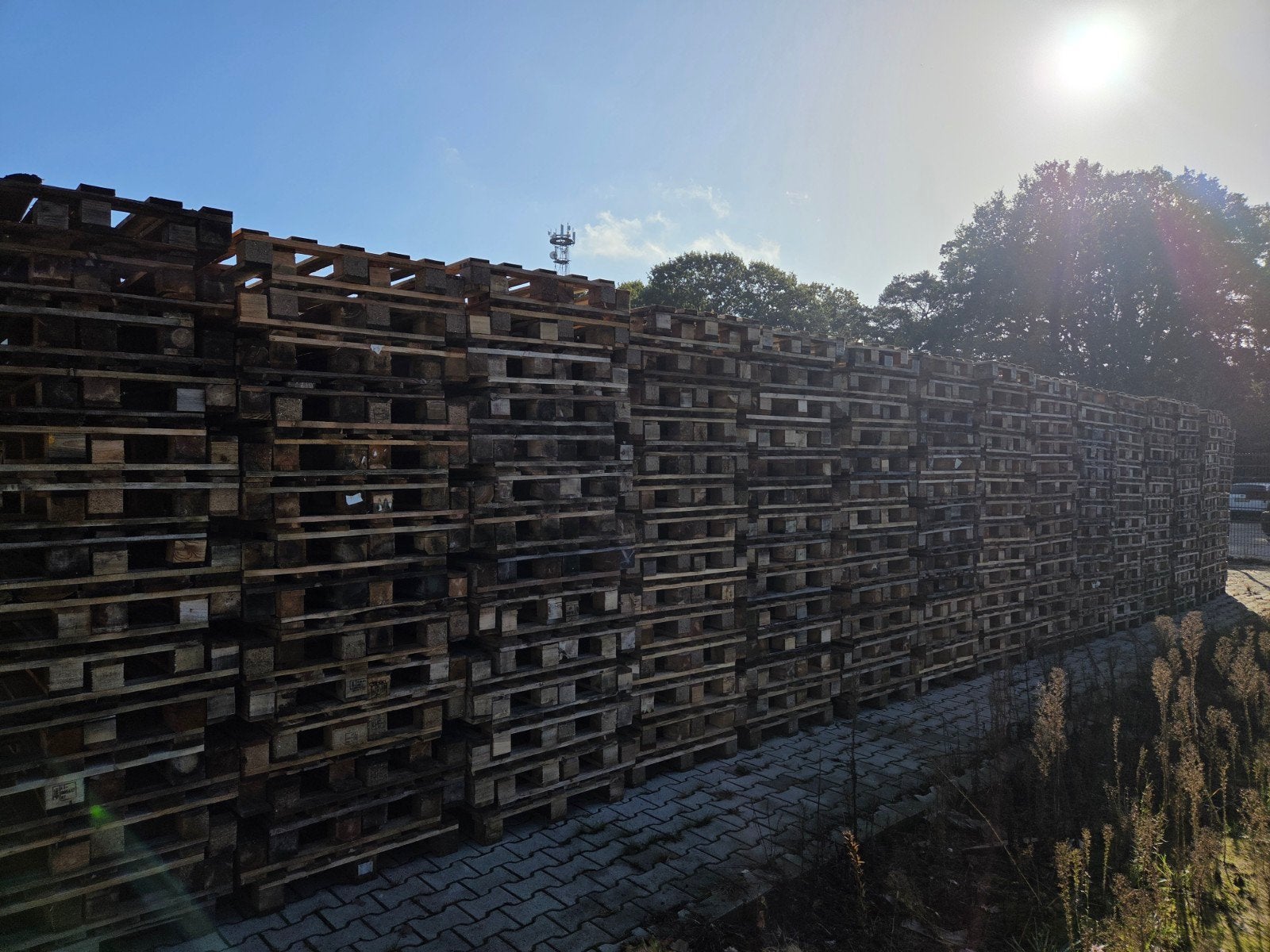 Te koop 2000 pallets 80x120 zwaar, Ophalen of Verzenden, 50 mm of meer, Pallet, Minder dan 200 cm