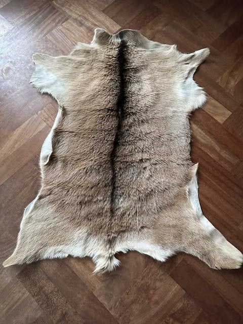Mooie geitenhuid geitenvacht geitenkleed, Ophalen of Verzenden, Zo goed als nieuw, Boerderijdier, Overige typen