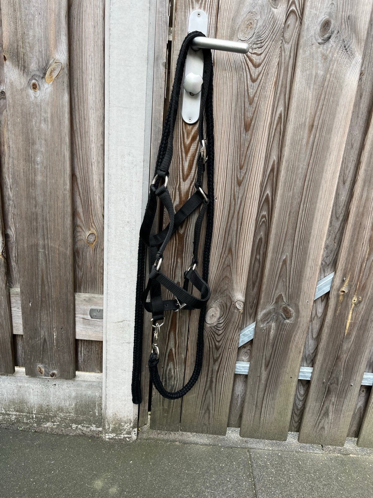 Halster paard en pony, Ophalen, Gebruikt, Recreatie