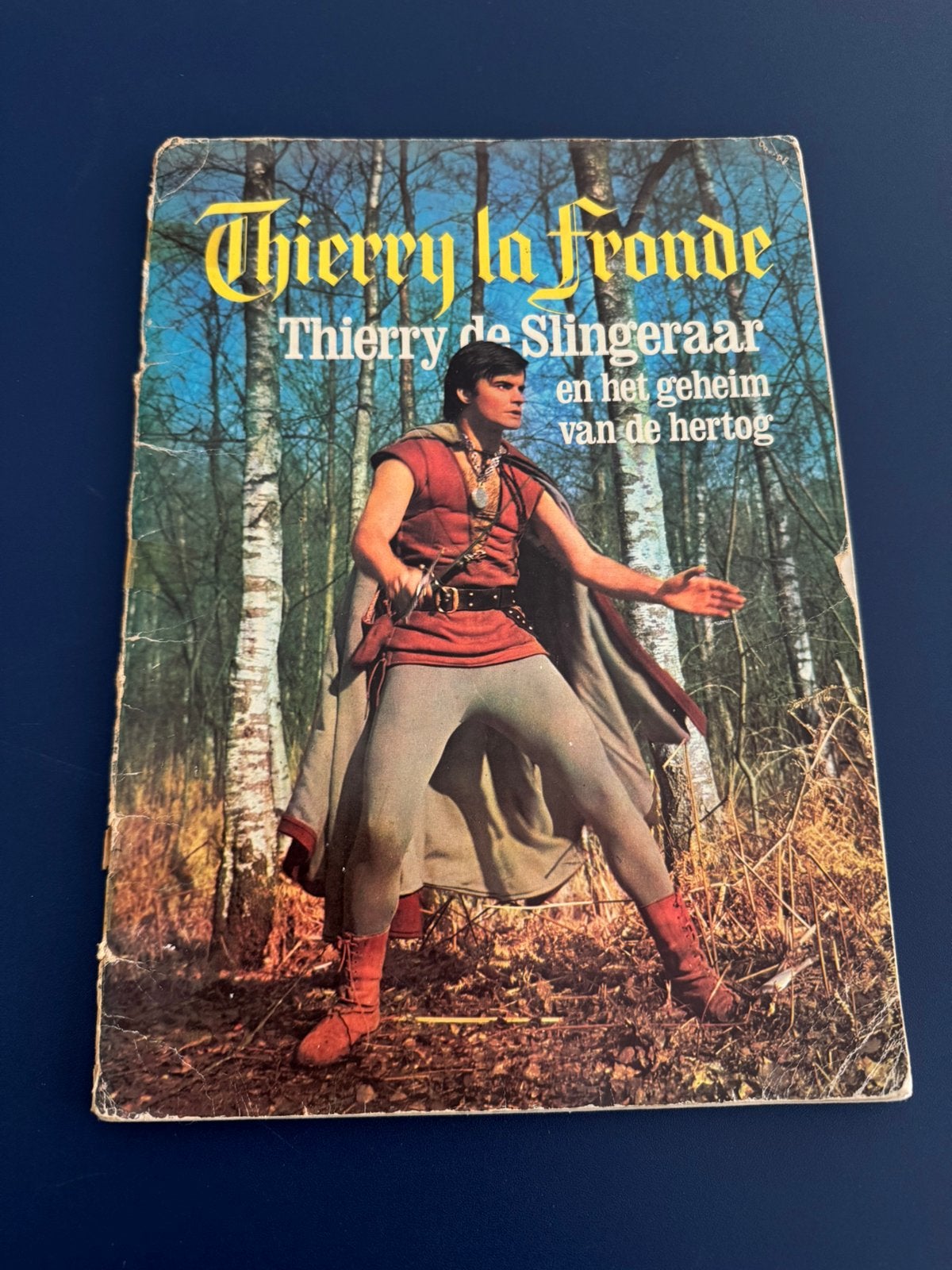 Dun boek thierry de slingeraar la fronde 1966, Ophalen of Verzenden, Gebruikt, Tv, Overige typen